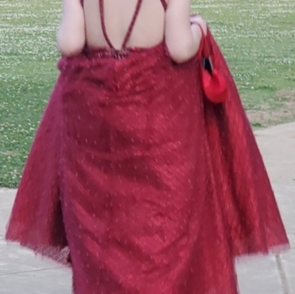 Gorgeous Ballgown/Prom. All about the details. - Picture 4 of 12